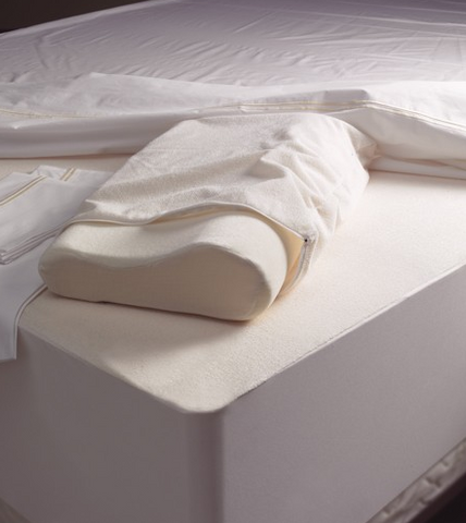 Conventional and Memory Foam Pillowcases